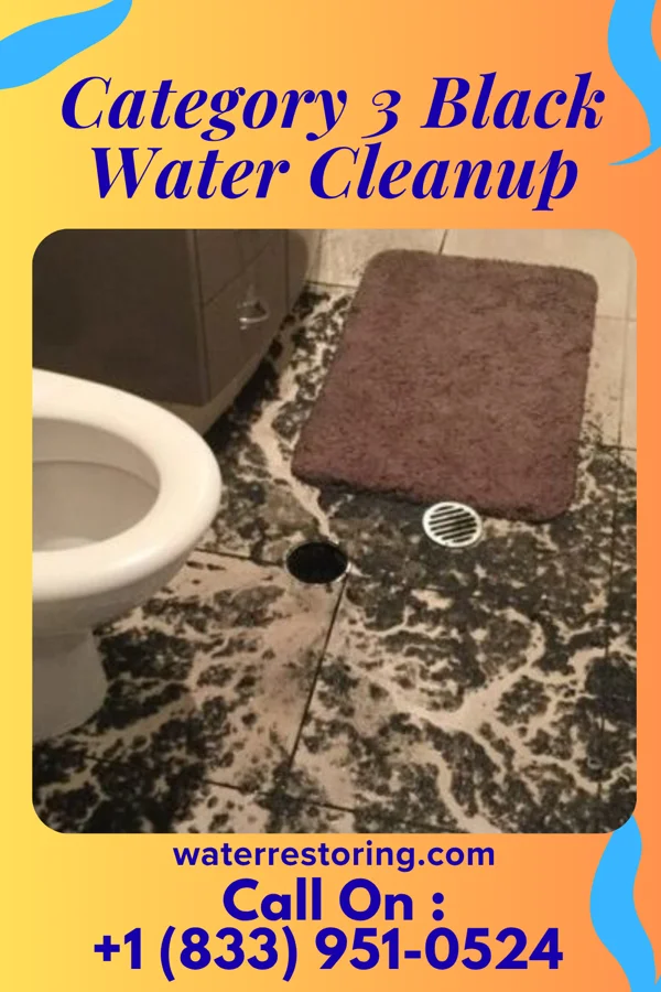 Category 3 Black Water Cleanup in Carrollton, KY